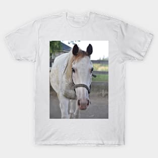 WHITE TB MARE T-Shirt